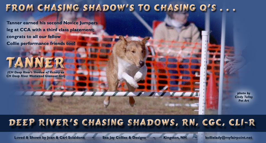Sea Jay Collies -- Deep River’s Chasing Shadows, RN, CGC, CL1-R