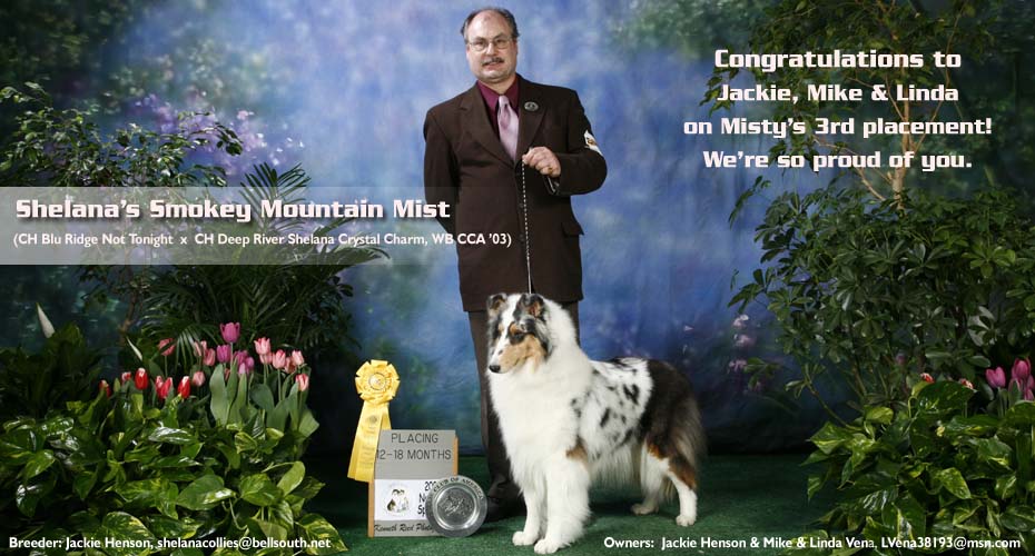 Blu Ridge Collies -- Shelana's Smokey Mountain Mist