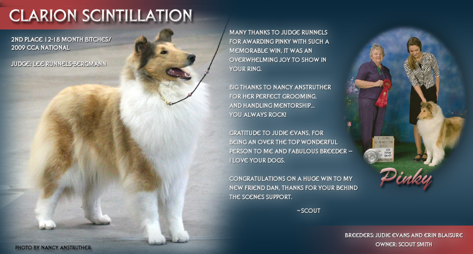 Scout Smith -- Clarion Scintillation