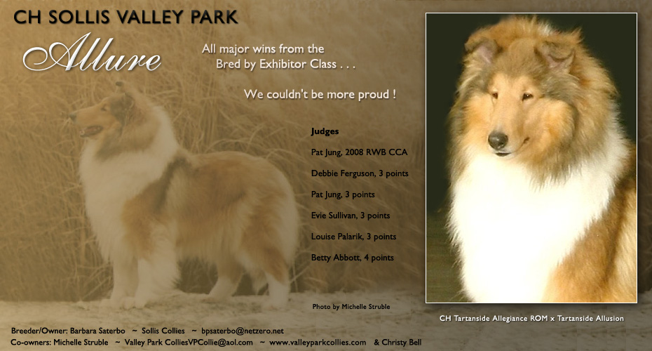 Sollis Collies / Valley Park Collies -- CH Sollis Valley Park Allure