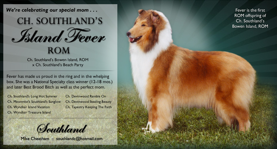 Southland Collies -- CH Southland's Island Fever, ROM