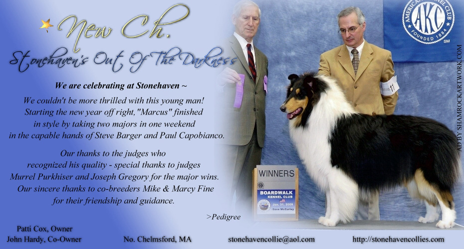 Stonehaven Collies -- CH Stonehaven's Out Of The Darkness