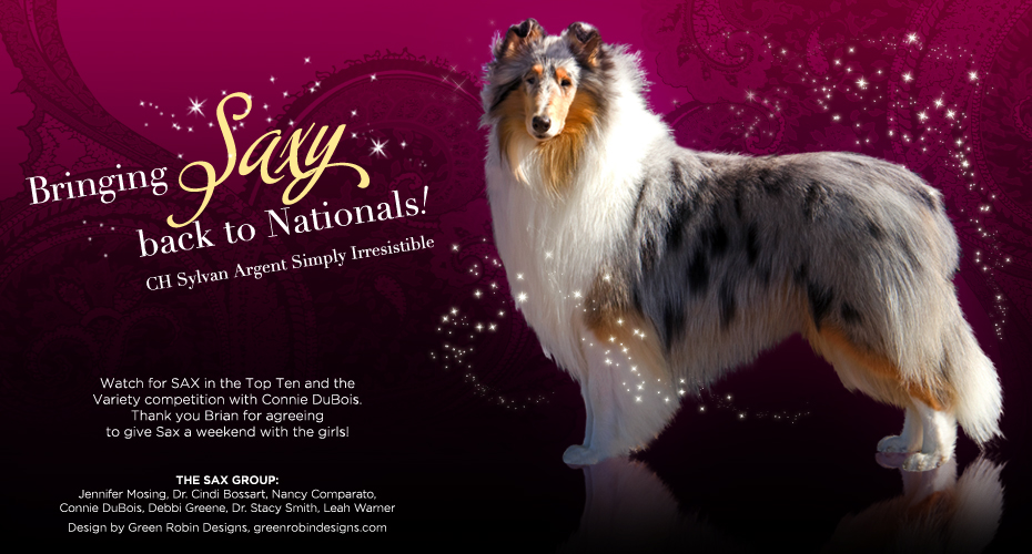 Sax Group -- CH Sylvan Argent Simply Irresistible