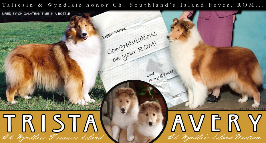 Taliesin and Wyndlair Collies -- CH Wyndlair Treasure Island and CH Wyndlair Island Vacation