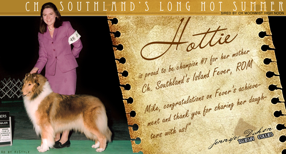 Taliesin Collies -- CH Southland's Long Hot Summer