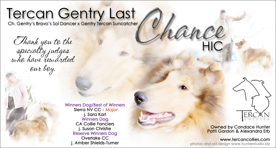 Tercan -- Tercan Gentry Last Chance HIC