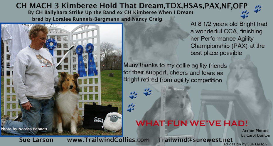 Trailwind Collies -- CH MACH 3 Kimberee Hold That Dream, TDX, HSAs, PAX, NF, OFP