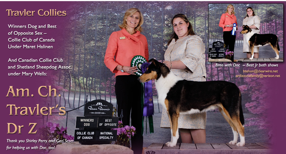 Travler Collies -- AM CH Travler's Dr Z