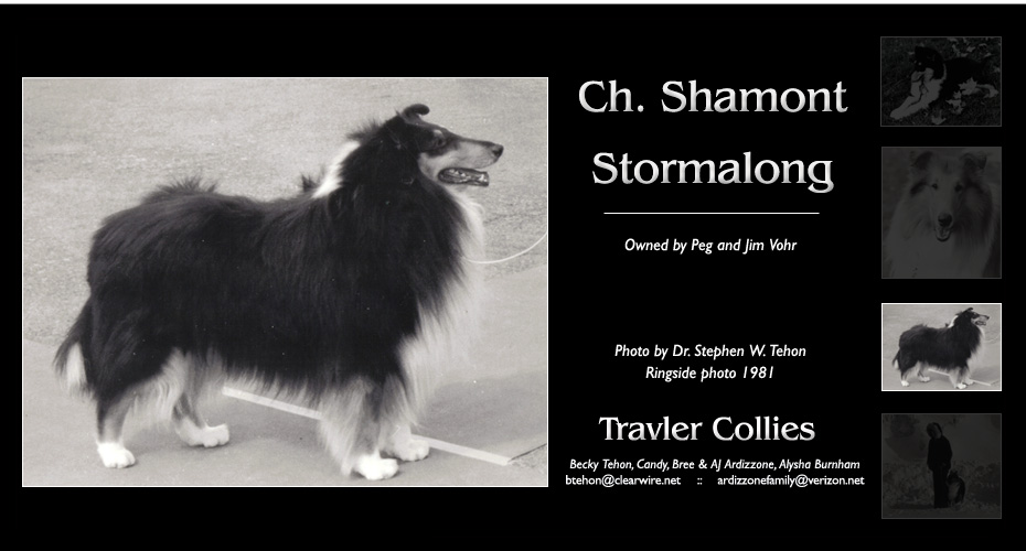 Travler Collies -- In memory of our father, Dr. Stephen W. Tehon -- CH Shamont Stormalong