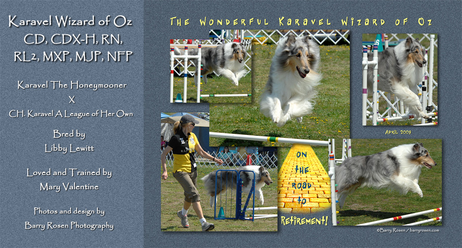 Mary Valentine -- Karavel Wizard Of Oz, CD, CDX-H, RN, RL2, MXP, MJP, NFP