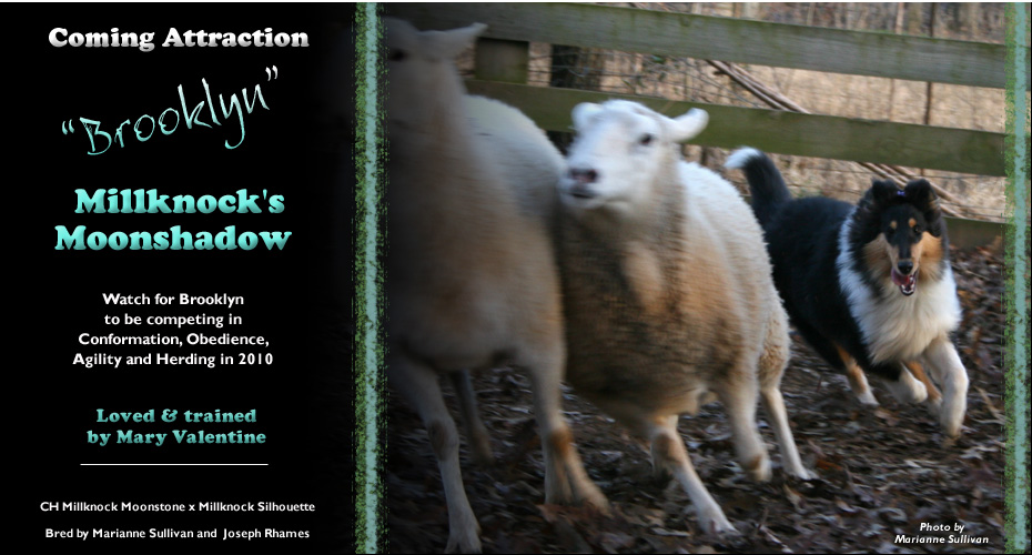 Mary Valentine -- Millknock's Moonshadow