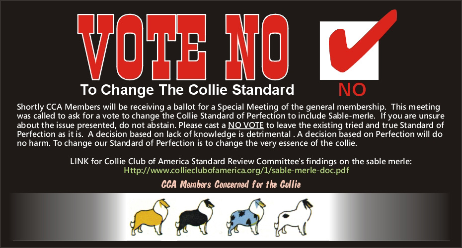 CCA Members Concerned for the Collie