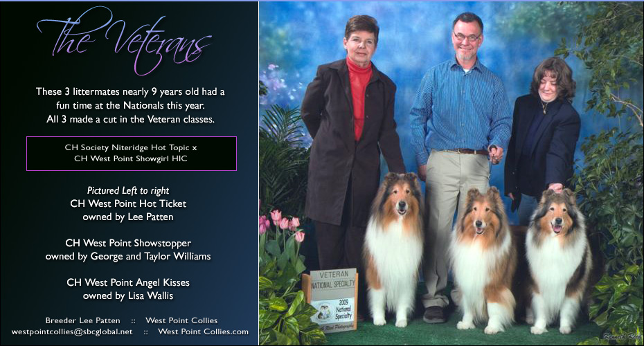 West Point Collies -- CH West Point Hot Ticket, CH West Point ShowStopper and CH West Point Angel Kisses