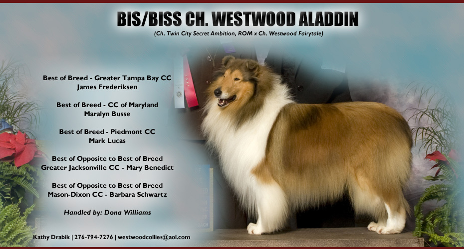 Westwood -- CH Westwood Aladdin