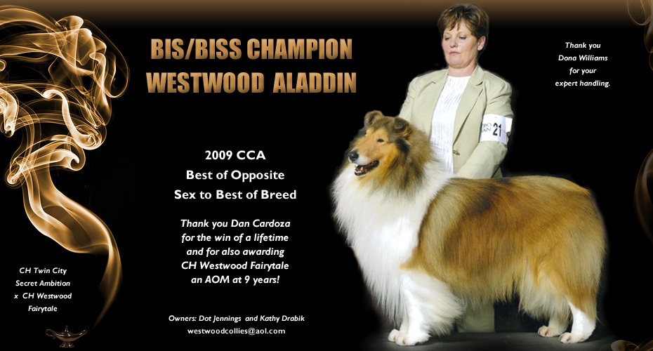 Westwood  Collies -- CH Westwood Aladdin