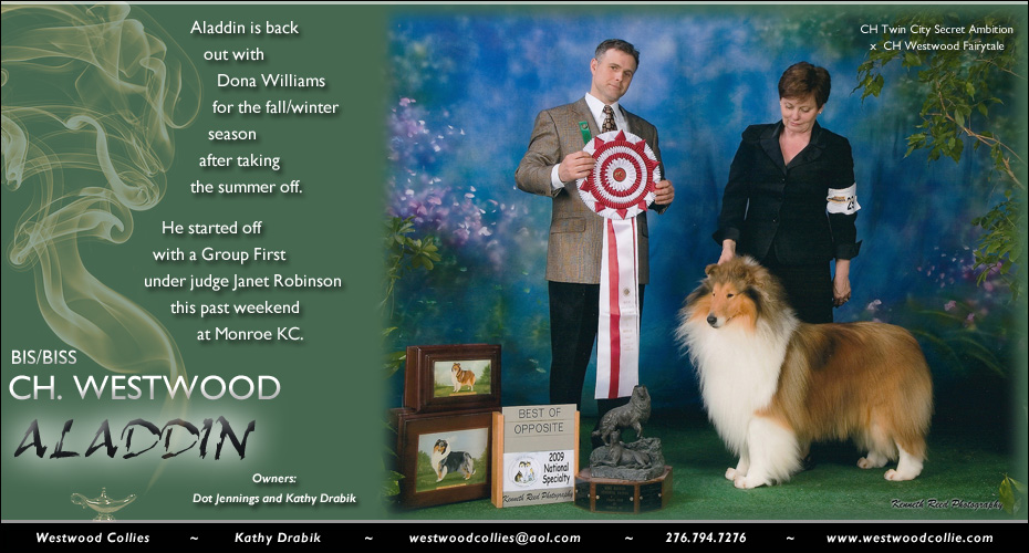 Westwood  Collies -- CH Westwood Aladdin