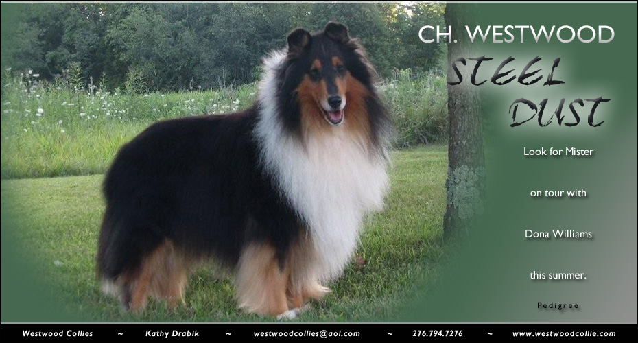 Kamille Collies -- Kamille's Winds Of Change