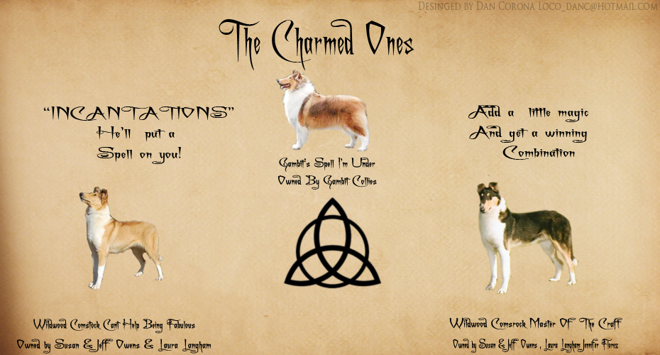 Wildwood Collies -- Wildwood Comstock Can't Help Being Fabulous and Wildwood Comstock Master Of The Craft