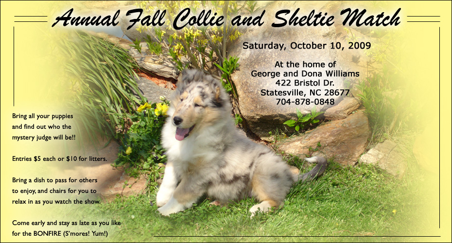 Annual Fall Collie and Sheltie Match at the home of George and Dona Williams