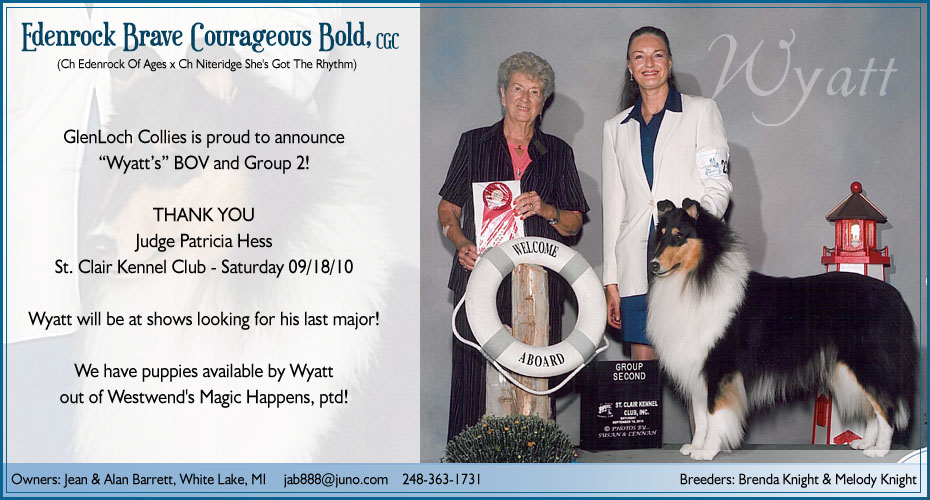 GlenLoch Collies -- Edenrock Brave Courageous Bold, CGC