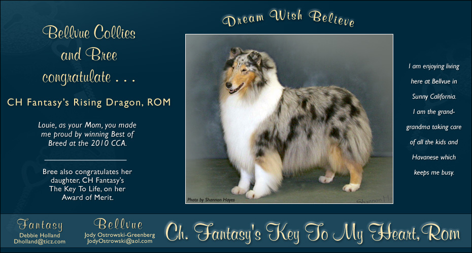 Bellvue Collies / Fantasy Collies   -- CH Fantasy's Key To My Heart, ROM