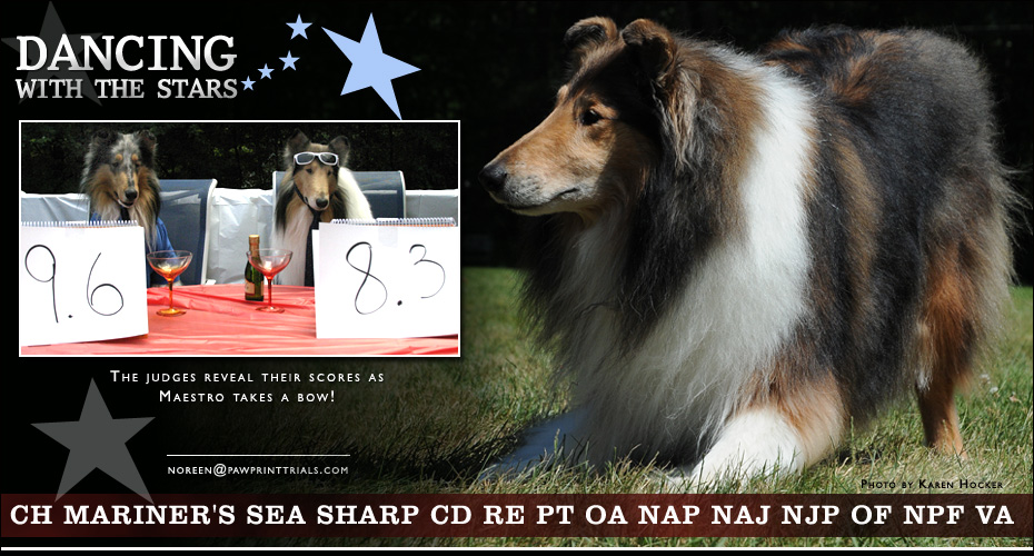 Noreen Bennett -- CH Mariner's Sea Sharp CD RE PT OA NAP NAJ NJP OF NPF VA