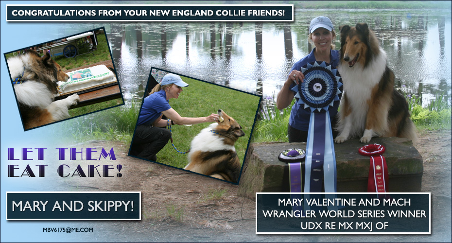 New England Collies Friends congratulates Mary Valentine and Mach Wrangler World Series Winner UDX RE MX MXJ OF