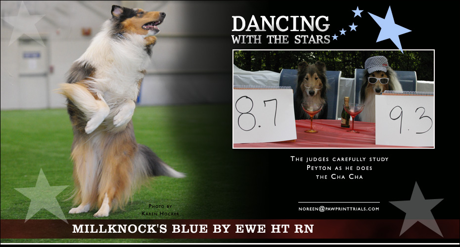 Noreen Bennett -- Millknock's Blue By Ewe HT RN