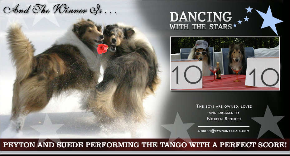 Noreen Bennett -- Ch Provenhill's Persuasion CD RA HSAsd MX  NAP MXJ NJP MXF and Millknock's Blue By Ewe HT RN