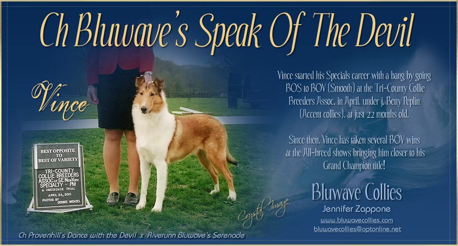 Bluwave Collies -- CH Bluwave's Speak Of The Devil