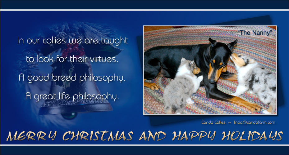 Cando Collies