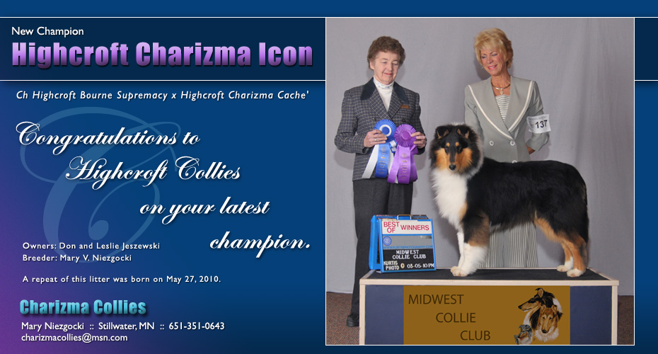 Charizma Collies -- CH Highcroft Charizma Icon