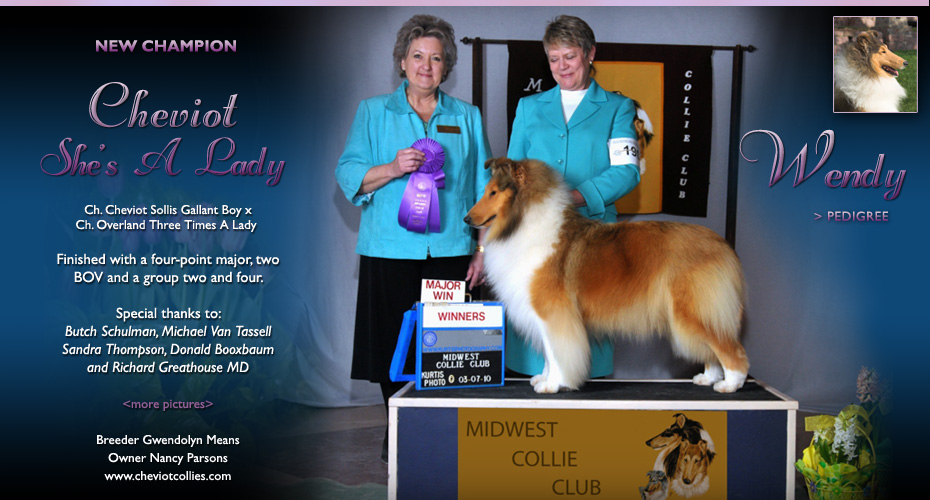 Cheviot Collies  -- CH Cheviot She's A Lady