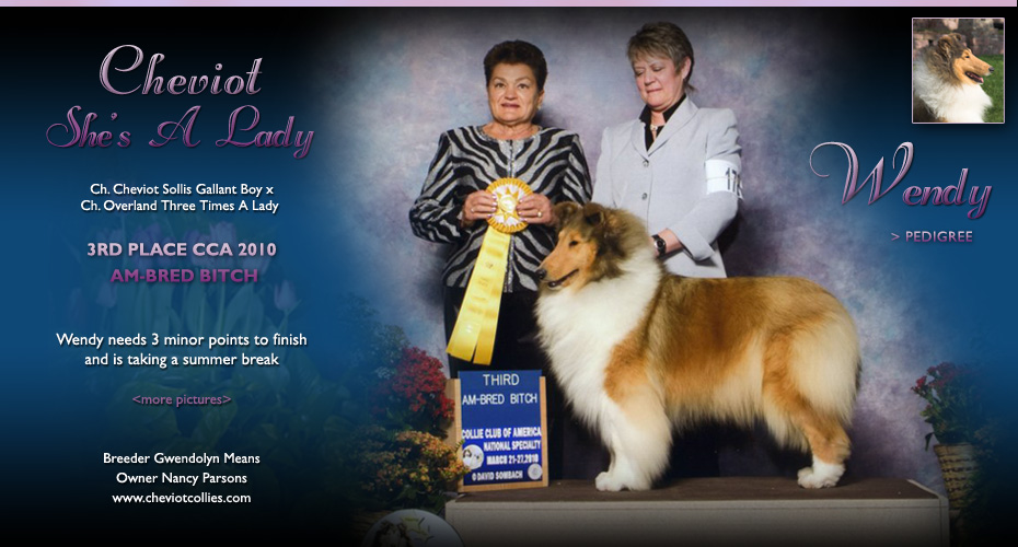 Cheviot Collies  -- CH Cheviot She's A Lady