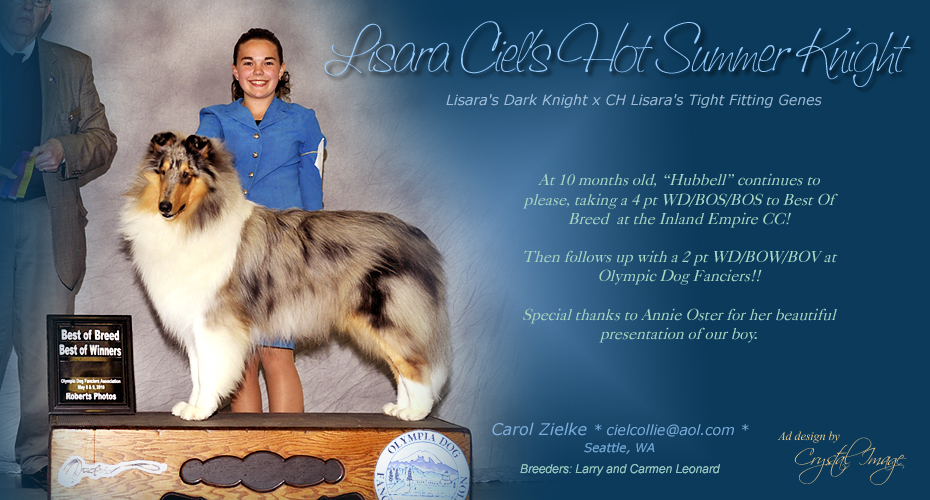 Ciel Collies -- Lisara's Ciels' Hot Summer Knight