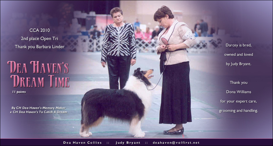 Dea Haven Collies -- Dea Haven's Dream Time