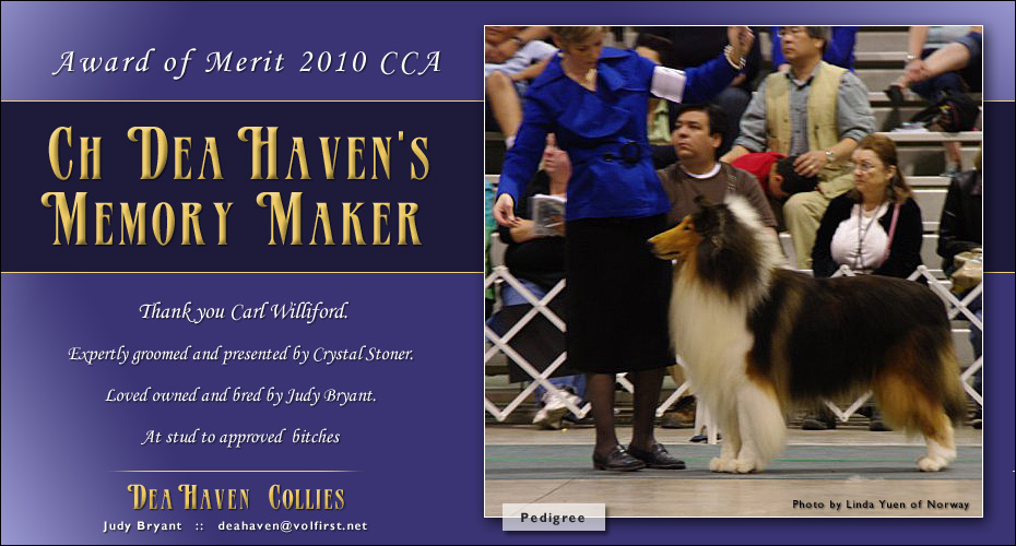 Dea Haven Collies -- CH Dea Haven's Memory Maker