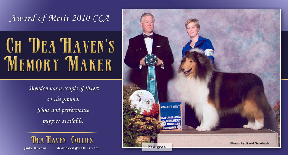 Dea Haven Collies -- CH Dea Haven's Memory Maker
