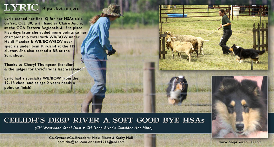 Deep River Collies / Ceilidh's Collies -- Ceilidh's Deep River A Soft Good Bye Hsas