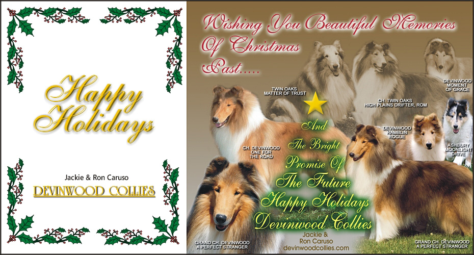 Devinwood Collies 