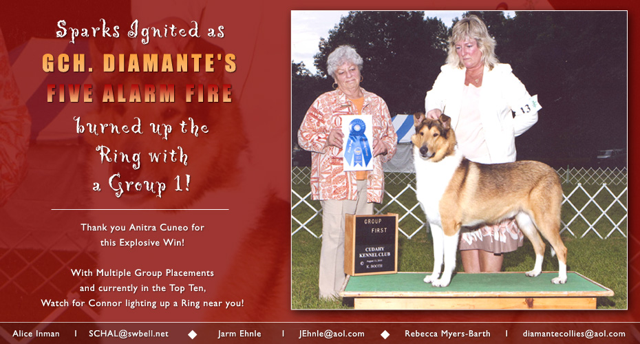 Diamante Collies / Schaladon Collies -- GCH Diamante's Five Alarm Fire