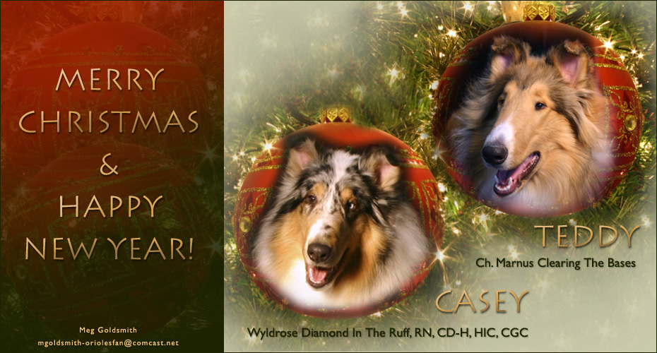 Meg Goldsmith -- CH Marnus Clearing The Bases and Wyldrose Diamond In The Ruff, RN, CD-H, HIC, CGC