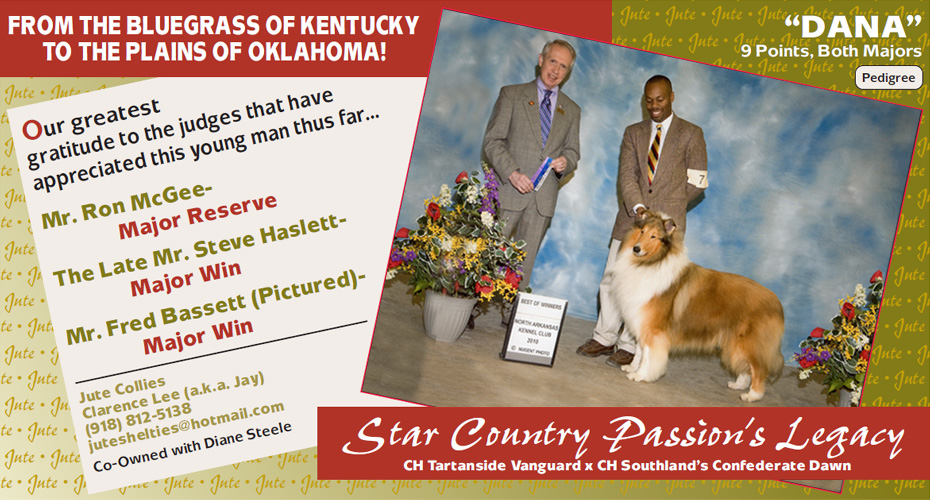Jute Collies -- Star Country Passion's Legacy