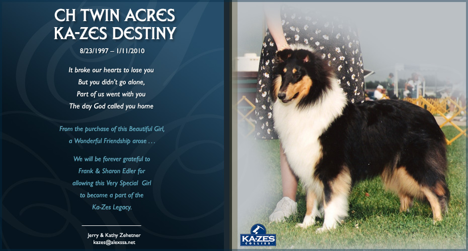 Ka-Zes Collies -- In loving memory of CH Twin Acres Ka-Zes Destiny