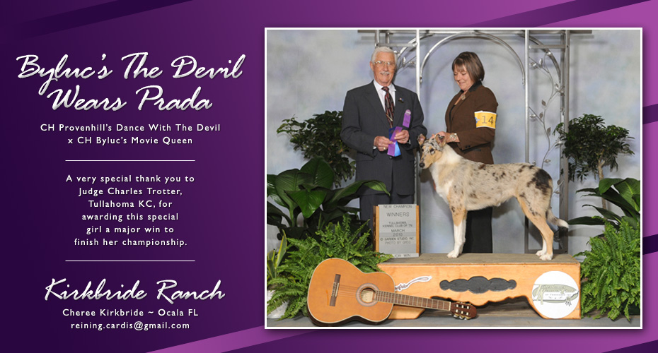 Kirkbride Collies -- Byluc's The Devil Wears Prada