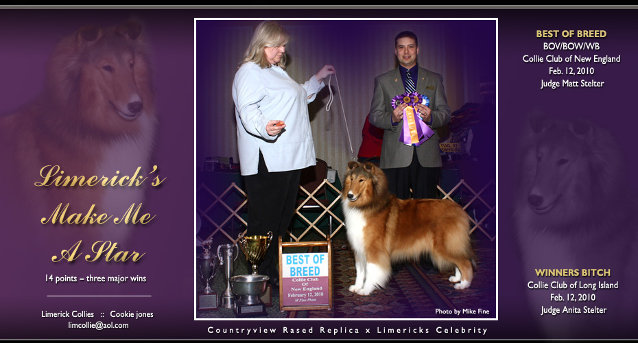 Limerick Collies -- Limerick's Make Me A Star