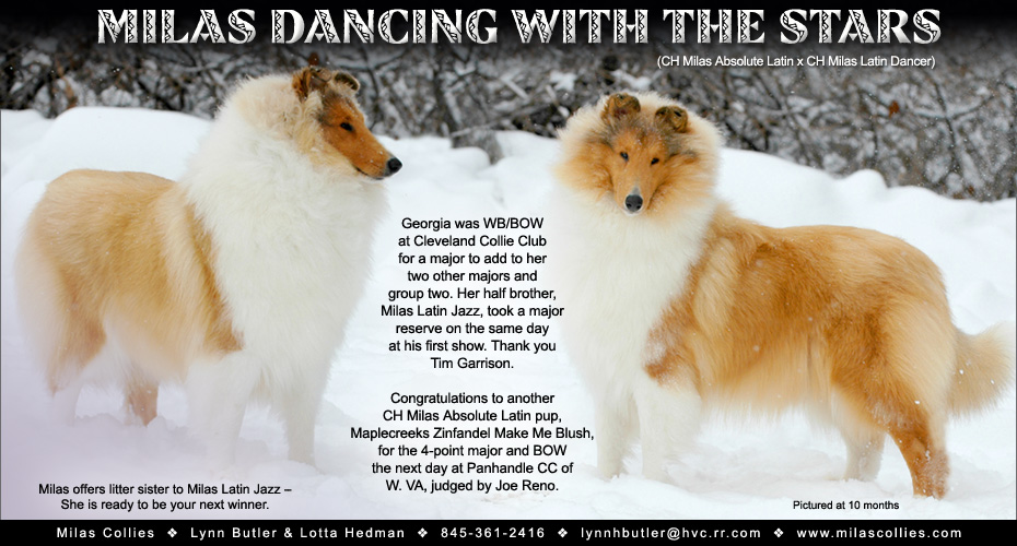 Milas Collies -- Milas Dancing With The Stars