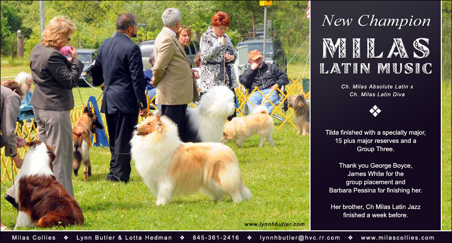 Milas Collies -- CH Milas Latin Music