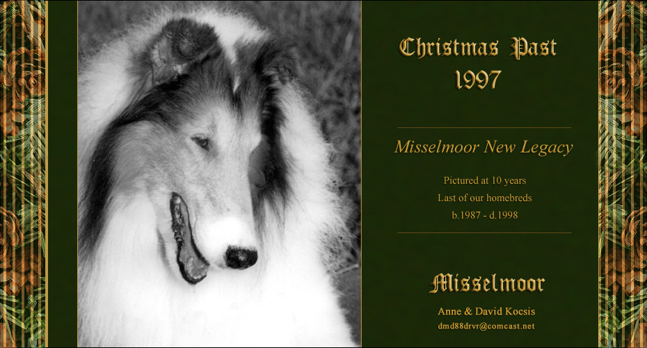 Misselmoor Collies -- Misselmoor New Legacy
