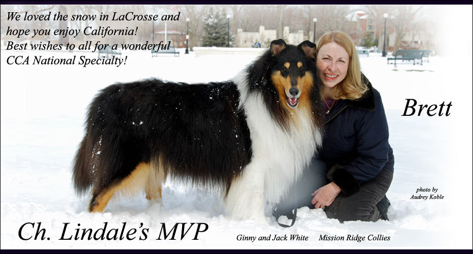 Mission Ridge Collies -- CH Lindale's MVP and Ginny White